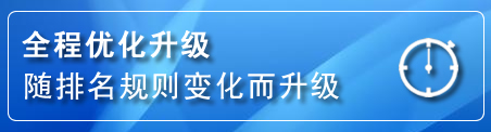 新城区网站推广公司