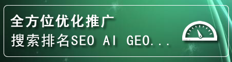 新城区网站排名